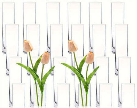 Libbey 2824 7.5" Cylinder Bud Vase Bulk, Case of 24-1